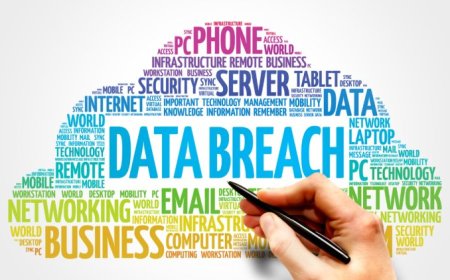 ما يجب على المنظمات فعله بعد خرق البيانات